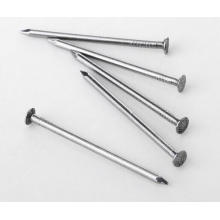 Hochwertiger Common Iron Wire Nail